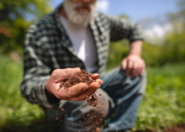 Tutti i tipi di terreno e come riconoscerli