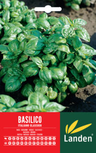 Basilico Italiano Classico