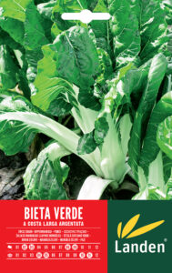 Bieta da coste