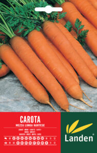Carote mezza lunga nantese
