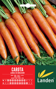 Carote lunghe