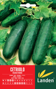 Cetriolo