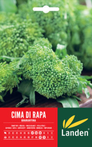 Cime di rapa