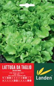 Lattuga da taglio