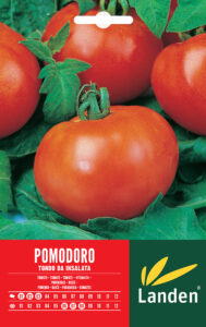 Pomodoro tondo da insalata