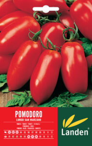 Pomodoro lungo San Marzano