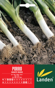 Porri
