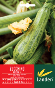 Zucchino greyzini F.1
