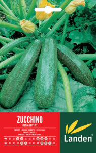 Zucchino diamant F.1