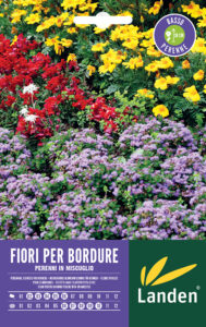 Fiori perenni per bordure