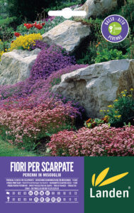 Fiori perenni per scarpate