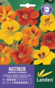 Nasturzio rampicante