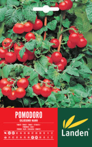 Pomodoro ciliegino nano