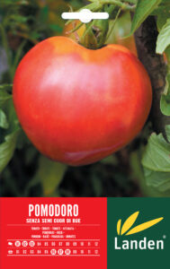 Pomodoro senza semi cuor di bue