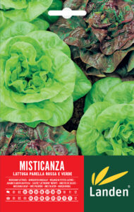 Misticanza di lattuga parella rossa/verde