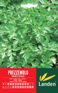 Prezzemolo gigante d’ Italia