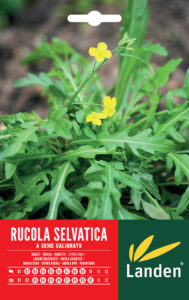 Rucola selvatica a seme calibrato