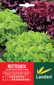 Misticanza di lattuga gentilina rossa/verde