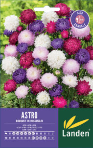 Astro bouquet