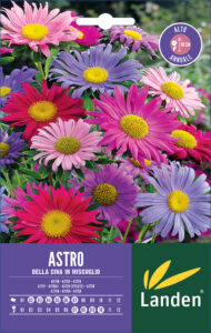 Astro della Cina