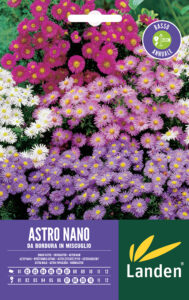Astro nano da bordura