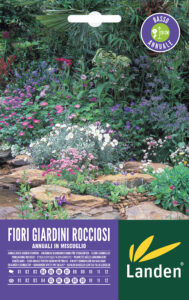 Fiori per giardini rocciosi