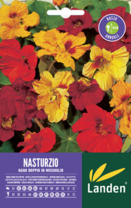Nasturzio doppio
