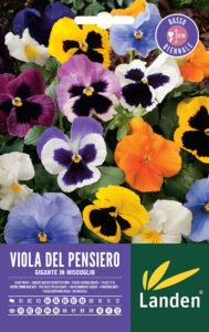 Viola del pensiero gigante in mix