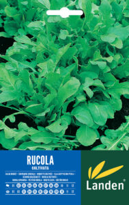 Rucola