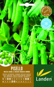 Pisello mezza rama Rondo