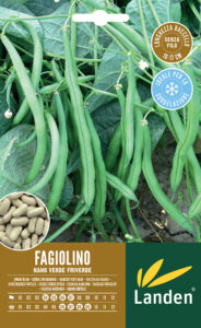 Fagiolino nano verde Friverde