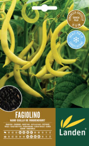 Fagiolino nano giallo