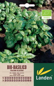 Basilico italiano classico bio