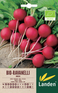 Ravanelli rossi bio