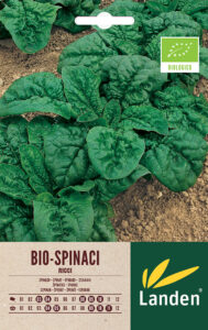 Spinaci ricci bio