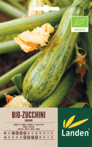 Zucchini chiari bio