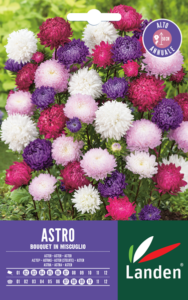 Astro bouquet
