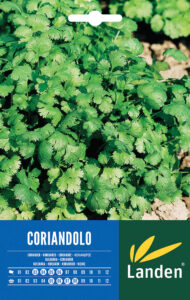 Coriandolo