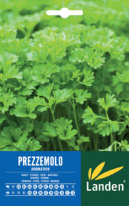 Prezzemolo Aromatico