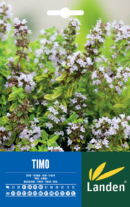 Timo