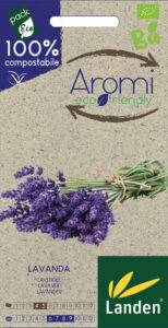 Lavanda officinalis