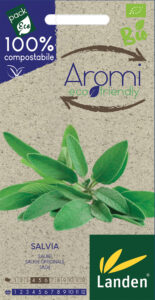 Salvia