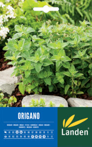 Origano