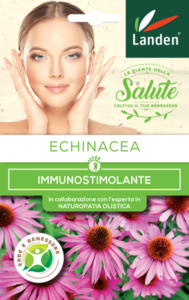 Echinacea