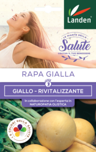 Rapa gialla