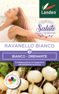 Ravanello bianco