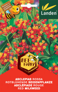 Asclepias rossa