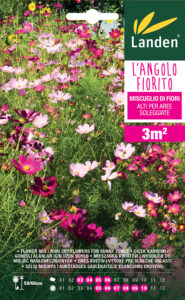 Mix di fiori alti per aree soleggiate