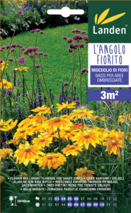 Mix di fiori bassi per aree ombreggiate