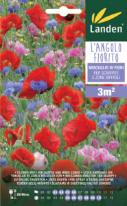 Mix di fiori per scarpate e zone difficili